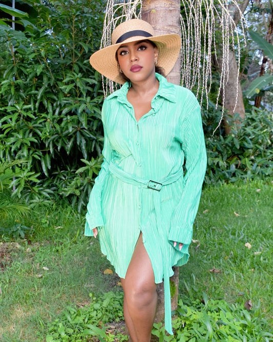 Nia Shirt Dress
